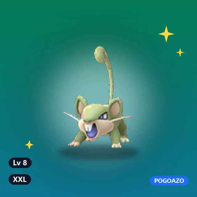 Shiny Rattata · XXL