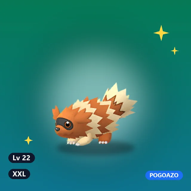 Shiny Zigzagoon · XXL
